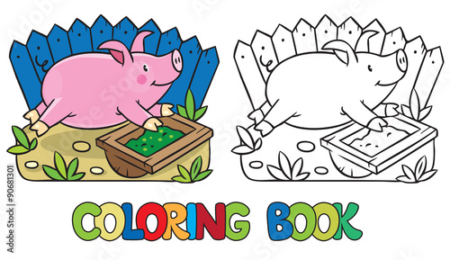 Little pig coloring book