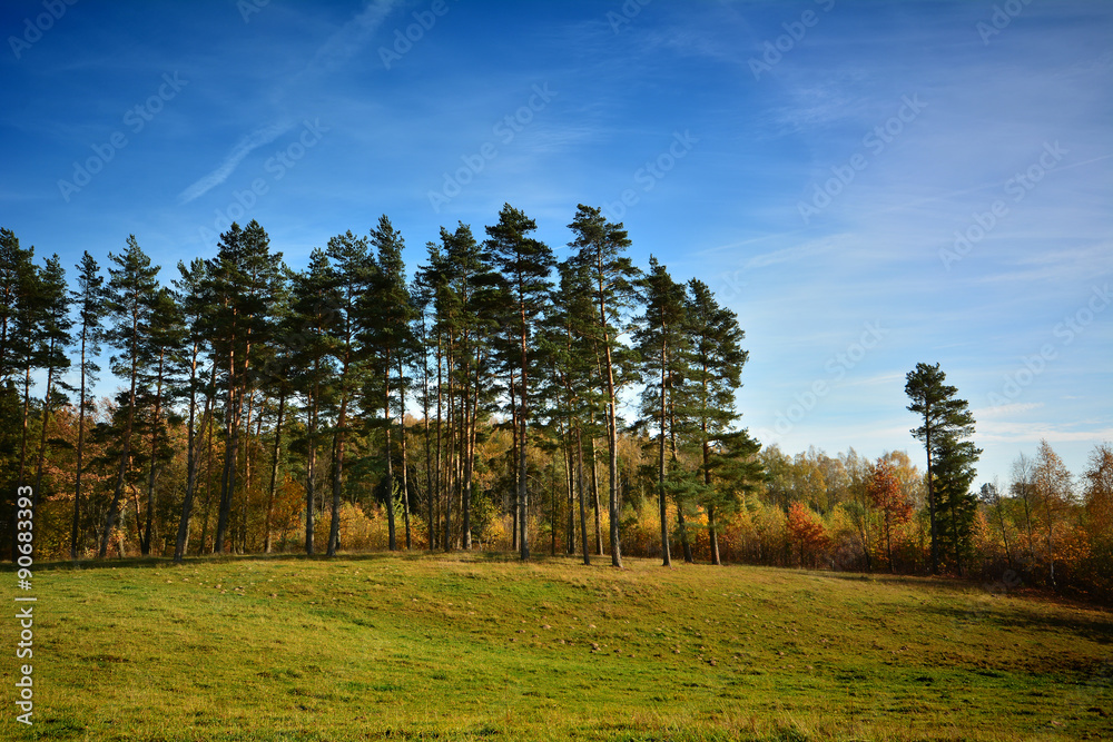 Autumn landscape with meadow and forest Autumn landscape with meadow and forest