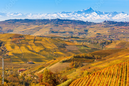 Autumnal vineyards and Alps in Piedmont, Italy.