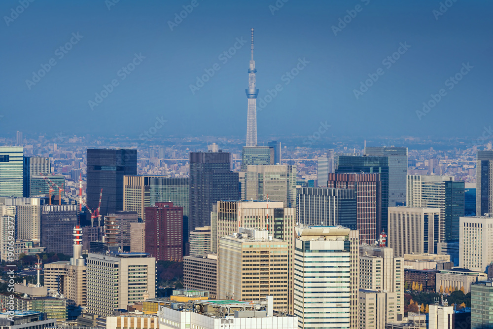 Skyline of Tokyo Cityscape with Tokyo Skytree, Japan Skyline of Tokyo Cityscape with Tokyo Skytree, Japan