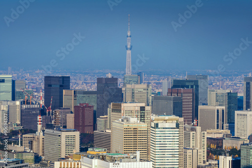 Skyline of Tokyo Cityscape with Tokyo Skytree, Japan