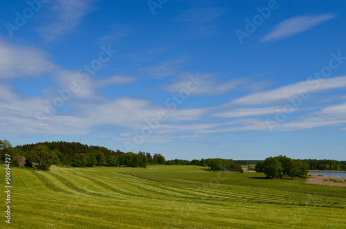 Mown meadow in summer in Swedish countryside