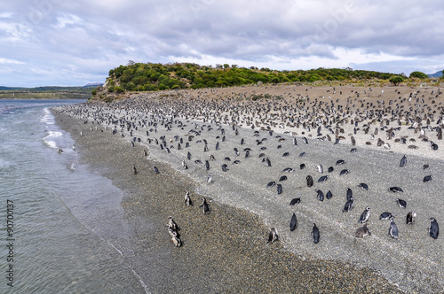 Island of Penguins, Beagle Channel, Ushuaia, Argentina