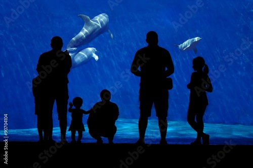 Dolphin and family silhouette