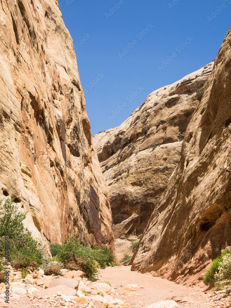Fototapeta premium Wanderweg im Capitol Reef National Park, Utah, USA