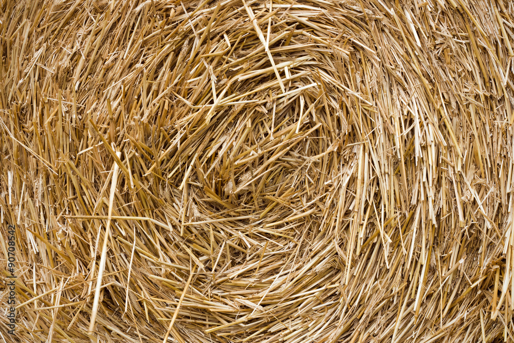 The pattern, texture hay. A stack of hay. The pattern, texture hay. A stack of hay.