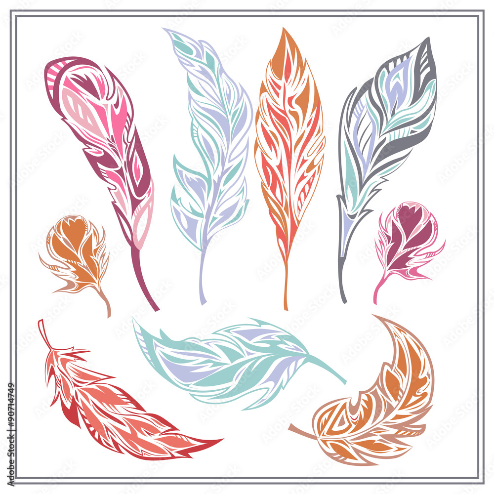 Fototapeta premium Set feathers different colors