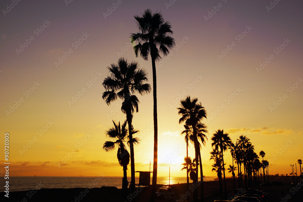 Beach surf palm tree silhouette