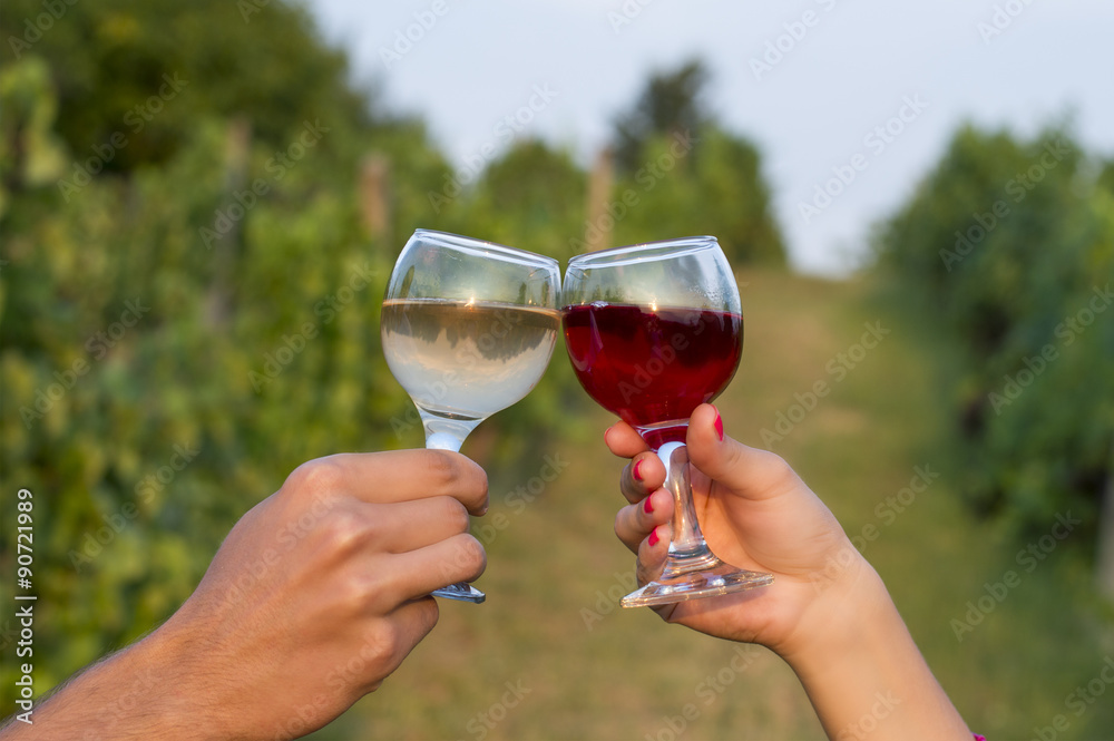 Female and  male hand clinking the glasses in vineyard while dri