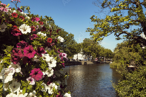 Barco a descer um canal em Amsterd  o com flores em primeiro plano