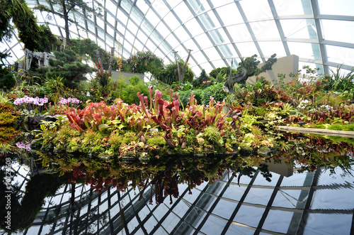 Cloud Forest at Gardens by the Bay in Singapore