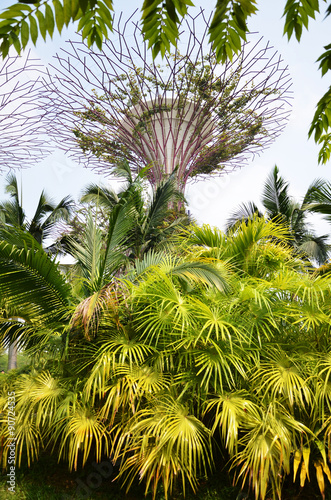 Gardens by the Bay © tang90246