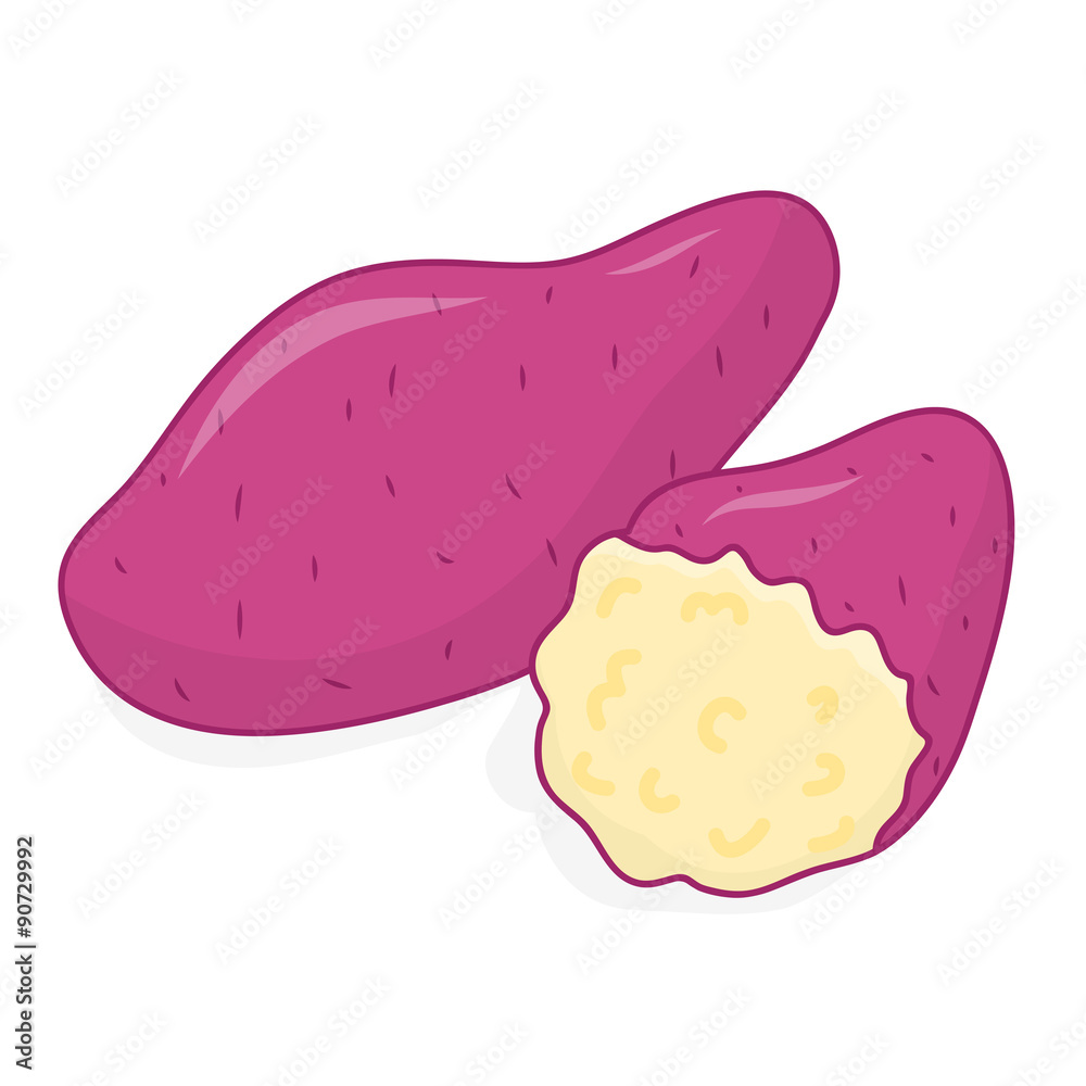 sweet potato isolated illustration sweet potato isolated illustration