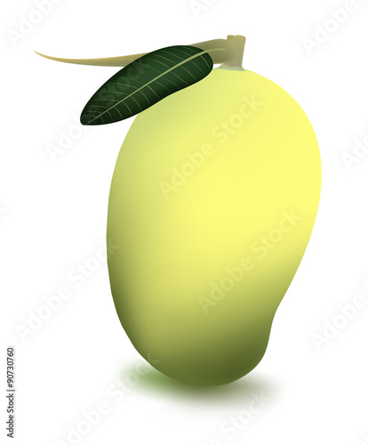 mango fruit vector for food and for use icon or symbol 