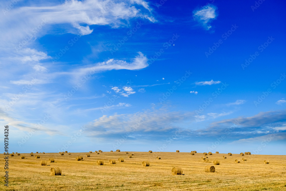 Obraz premium Countryside landscape