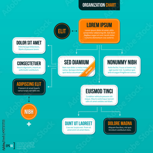 Modern organizational chart on turquoise background.