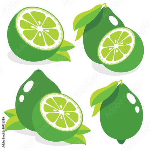 Fresh limes vector illustration