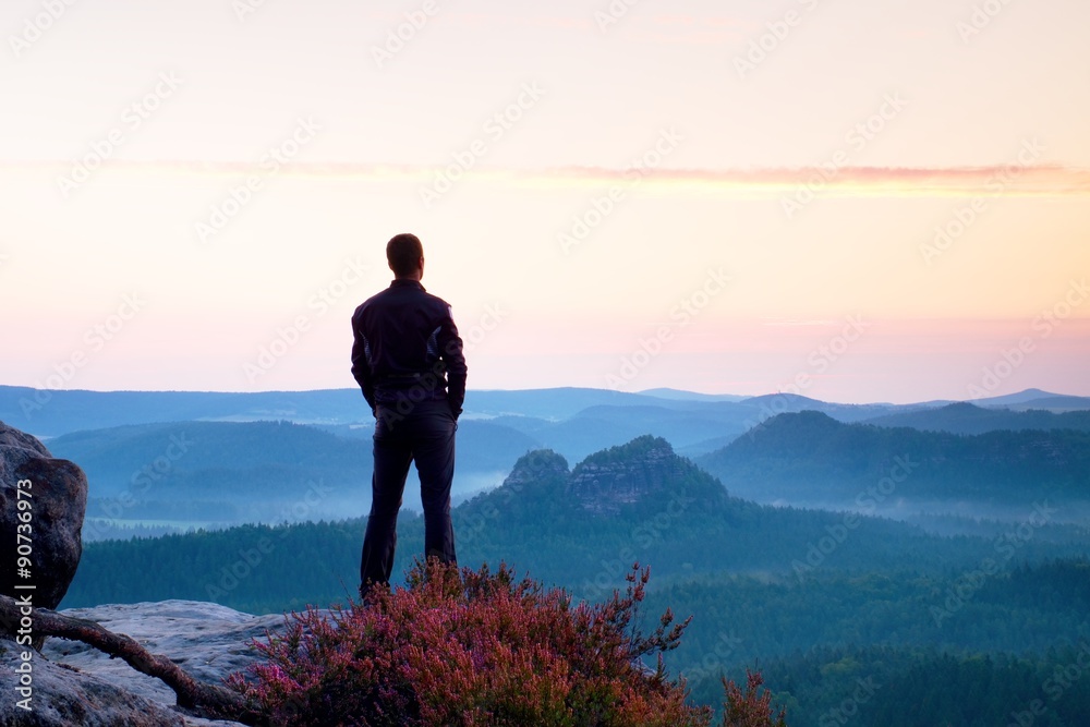Fototapeta premium Tall man in black on the cliff with heather bush. Sharp rocky mountains park