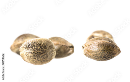 Close up macro photo of hemp seeds on white background