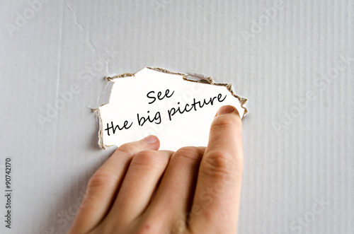 See the big picture text concept