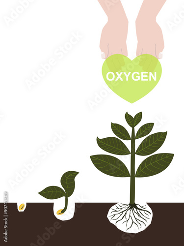 Oxygen from tree. Fresh air. Nature and human. Humans need oxyge