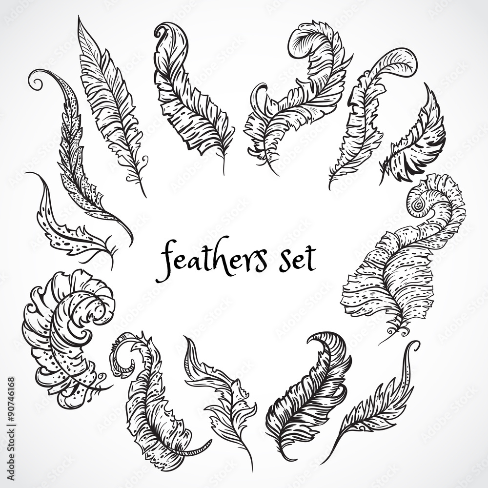 Feathers set. Collection of retro black and white hand drawn vector illustration. Card, print, postcard, poster, logo, tattoo Feathers set. Collection of retro black and white hand drawn vector illustration. Card, print, postcard, poster, logo, tattoo