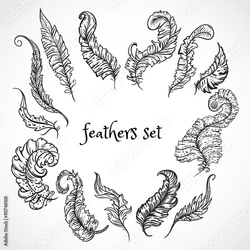 Feathers set. Collection of retro black and white hand drawn vector illustration. Card, print, postcard, poster, logo, tattoo