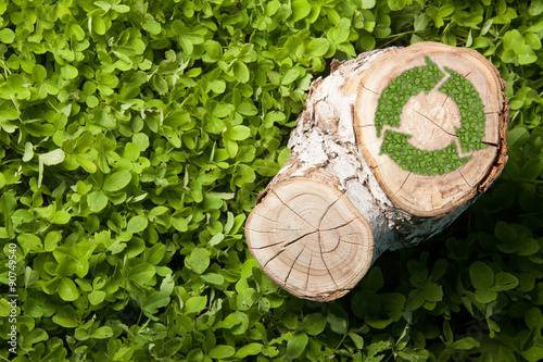 tree stump on the grass with recycle symbol, top view photo