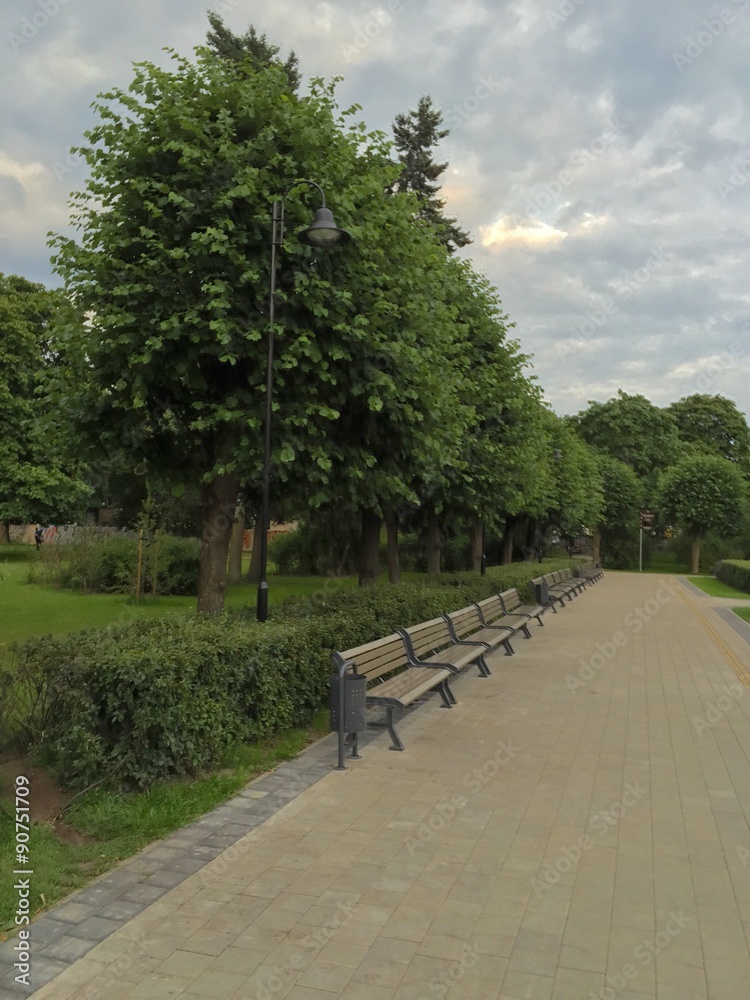 Fototapeta premium bench in park