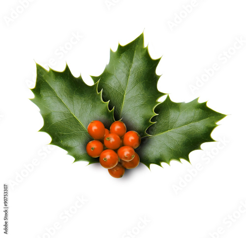 Festlich geschmückter Christbaum