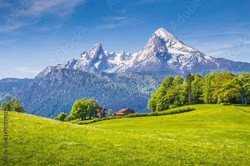 Obraz na płótnie Idyllic landscape in the Alps with green meadows and farmhouse w salonie