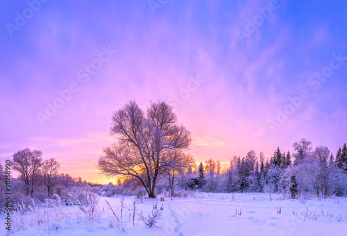 winter landscape panorama with sunset and the forest