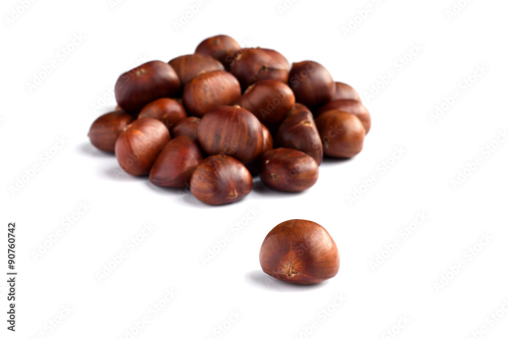 Chestnut selective focus on white background Chestnut selective focus on white background