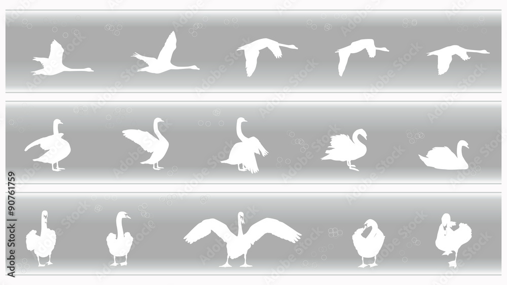 Obraz premium Swan Banners Set