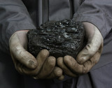 Coal in the hands