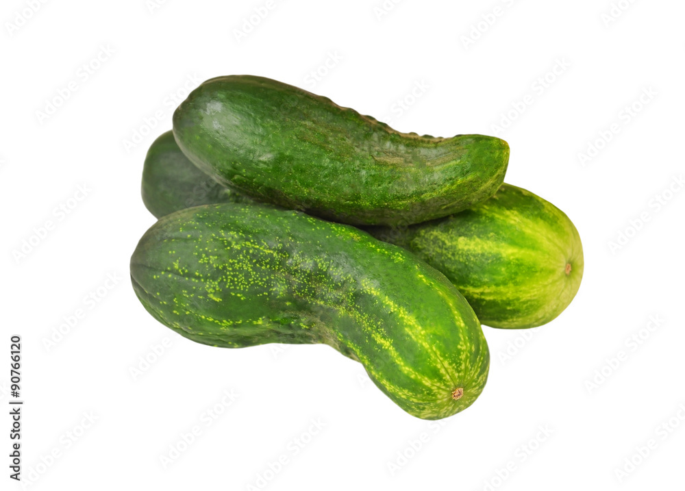 Fresh green cucumber gherkin, isolated on a white background Fresh green cucumber gherkin, isolated on a white background