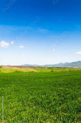 green field.