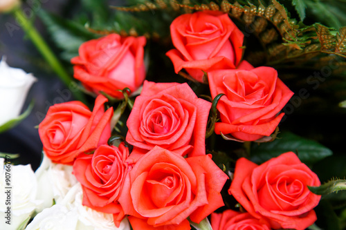 red roses closeup detail