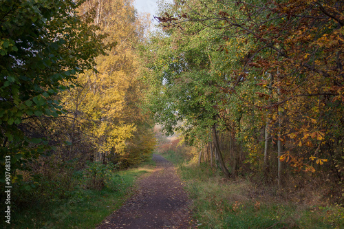 A scenic walk among the autumn trees full of colors.
