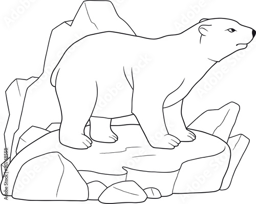 polar bear