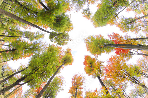 Autumn. Fall. Autumnal Park.