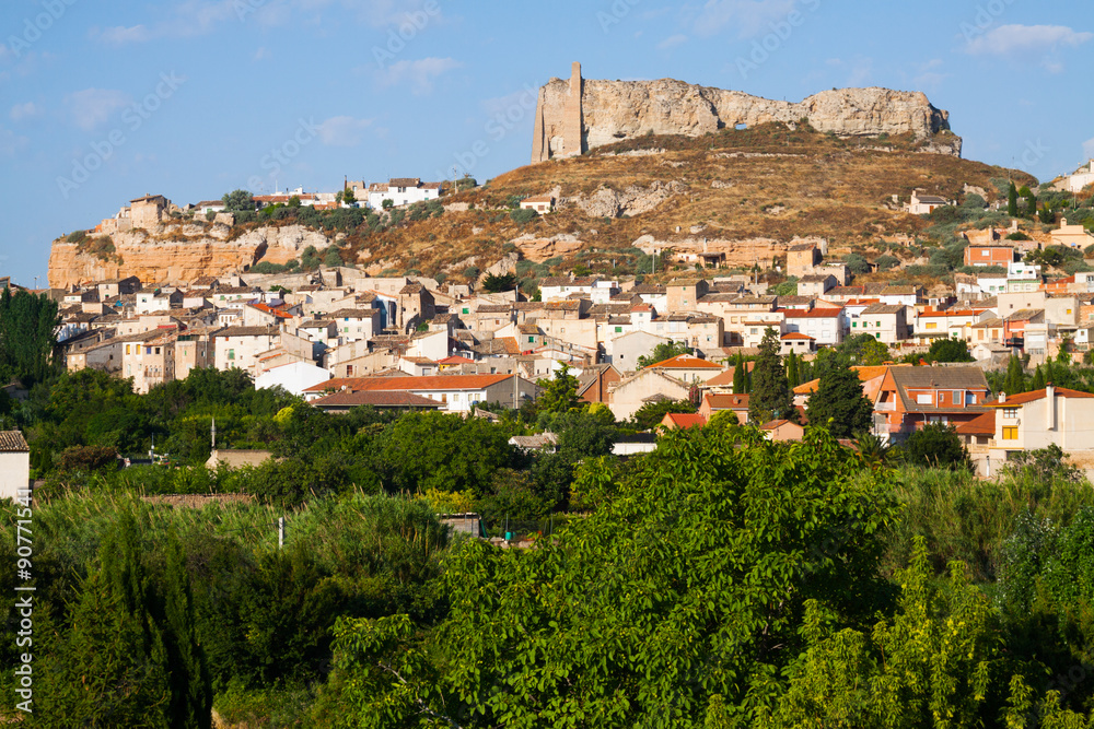Obraz premium General view of Borja