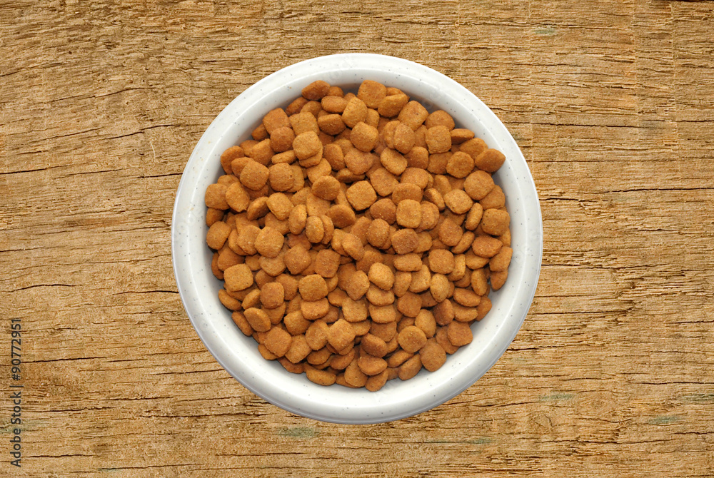 Dry cat food in plate over wooden texture