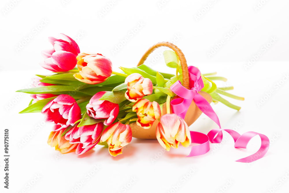 Basket with colorful bouquets of tulips on white background
