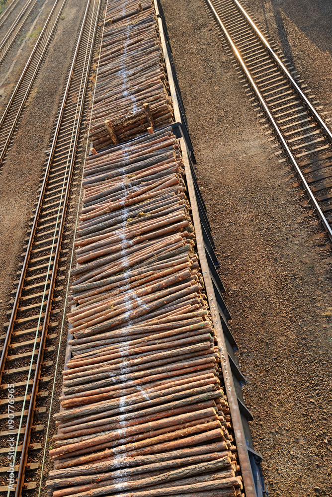 Fototapeta premium Railway transport