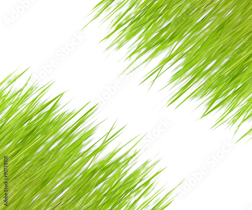 green grass