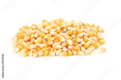 Dried corn grains isolated on white