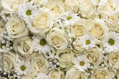 Cremefarbene Rosenblüten