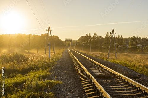 Railway in nature at sunset