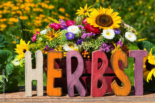 Fototapeta Naklejka Na Ścianę i Meble -  Herbstblumen